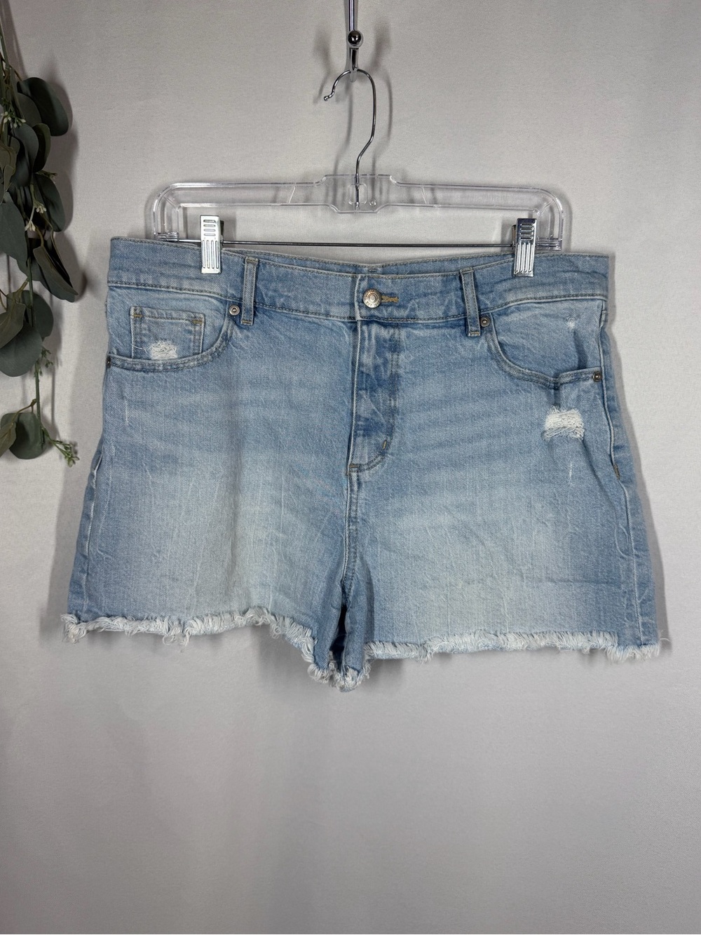 Loft | High Rise Distressed Light Wash Denim Jean Shorts Women's Size 31/12